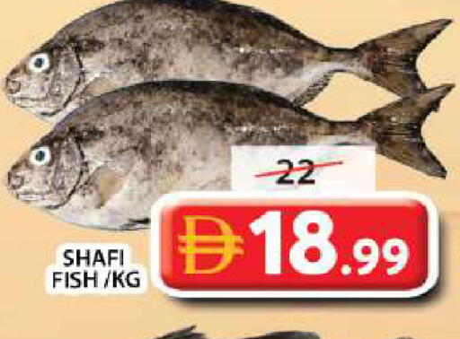 available at Grand Hyper Market in UAE - Sharjah / Ajman