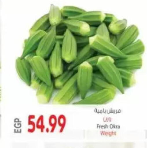Okra available at El.Husseini supermarket  in Egypt - Cairo