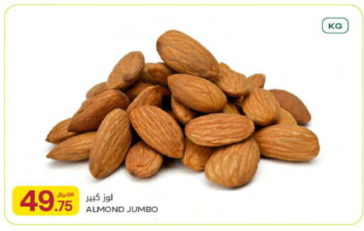 available at Al Meera in Qatar - Al Rayyan