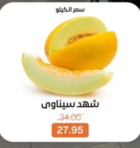 available at بيت الجملة in Egypt - القاهرة