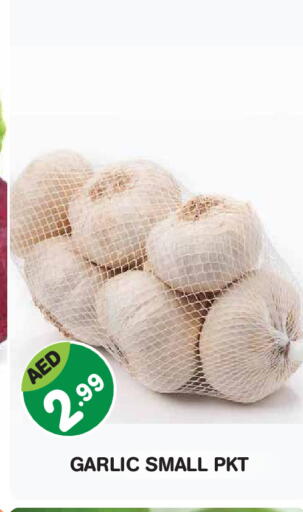 Garlic available at Baniyas Spike  in UAE - Abu Dhabi