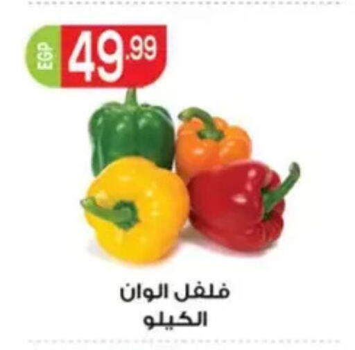 available at El mhallawy Sons in Egypt - Cairo