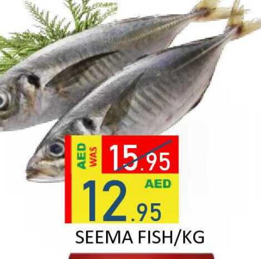 available at رويال جلف هايبرماركت in الإمارات العربية المتحدة , الامارات - أبو ظبي