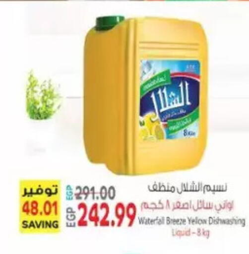 available at New.Penny.market in Egypt - Cairo