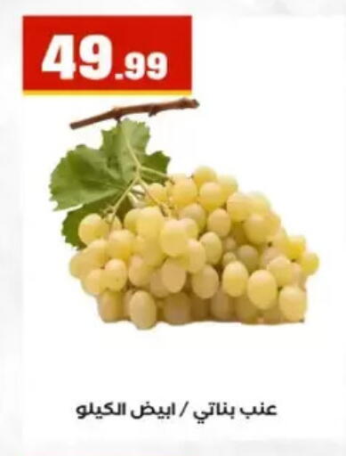 available at El Mahlawy Stores in Egypt - Cairo