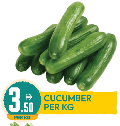 Cucumber available at Dream Land in UAE - Dubai