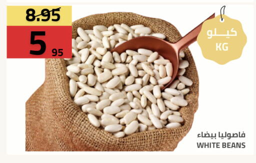 available at أسواق أسترا in مملكة العربية السعودية, السعودية, سعودية - تبوك