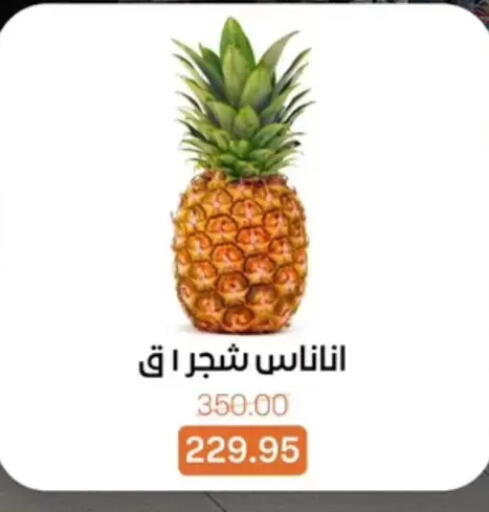 available at بيت الجملة in Egypt - القاهرة