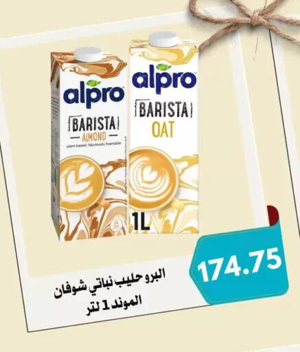 available at Negmet Heliopolis Hyper Gamal Salama in Egypt - Cairo
