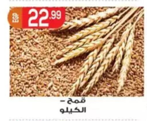 available at El mhallawy Sons in Egypt - Cairo