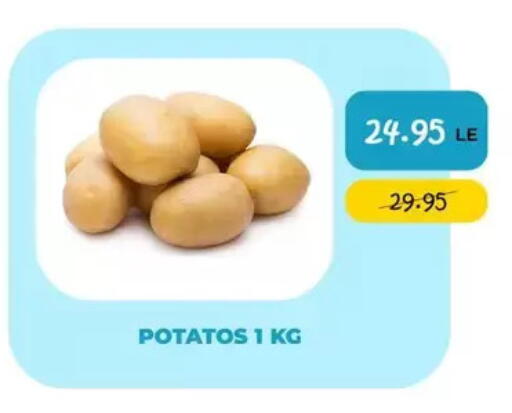available at Point Market  in Egypt - Cairo