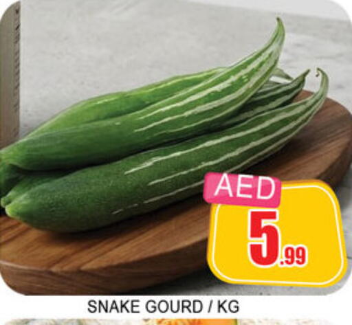 available at Lucky Center in UAE - Sharjah / Ajman