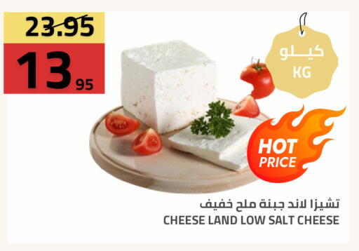 available at أسواق أسترا in مملكة العربية السعودية, السعودية, سعودية - تبوك