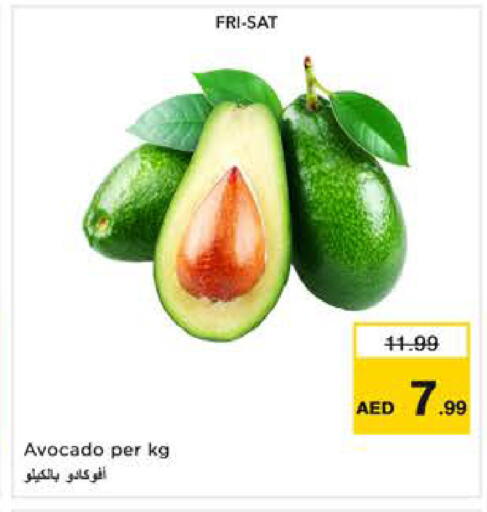 Avocado available at Nesto Hypermarket in UAE - Dubai