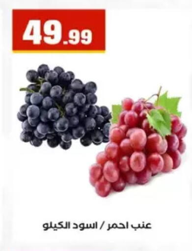 available at El Mahlawy Stores in Egypt - Cairo
