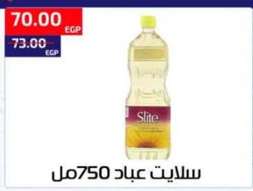 available at Al-Allaf Market in Egypt - Cairo