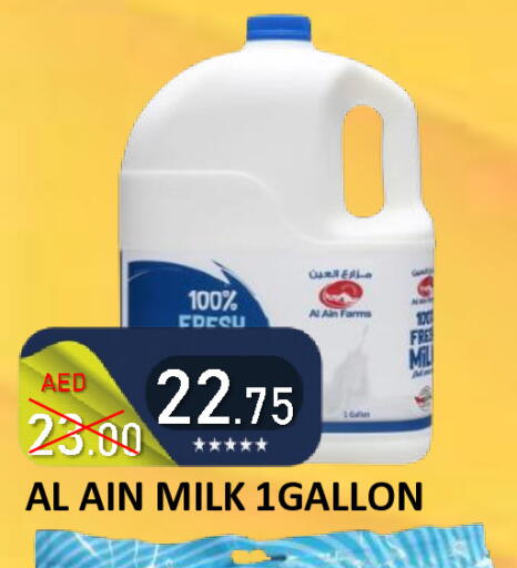 available at رويال جلف هايبرماركت in الإمارات العربية المتحدة , الامارات - أبو ظبي