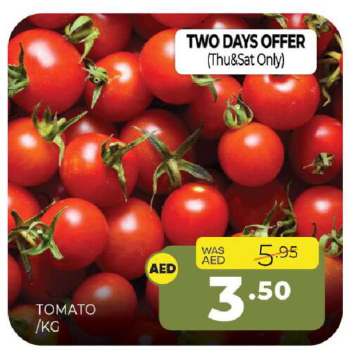 Tomato available at Al Madina  in UAE - Sharjah / Ajman