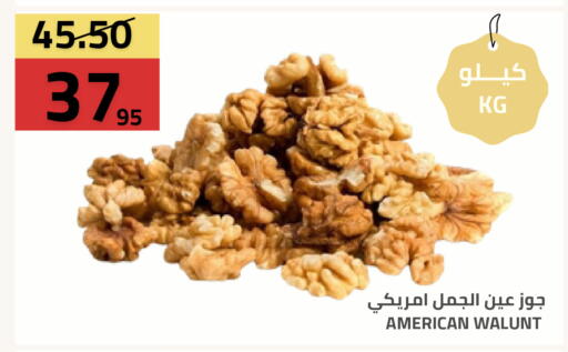 available at أسواق أسترا in مملكة العربية السعودية, السعودية, سعودية - تبوك