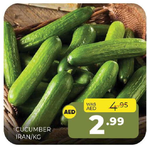 Cucumber from Iran available at Al Madina  in UAE - Sharjah / Ajman