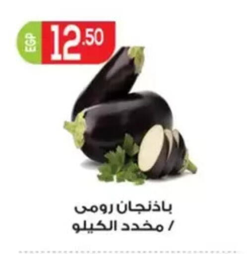 available at El mhallawy Sons in Egypt - Cairo