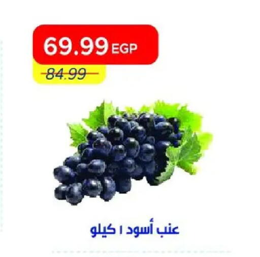 available at مترو ماركت in Egypt - القاهرة