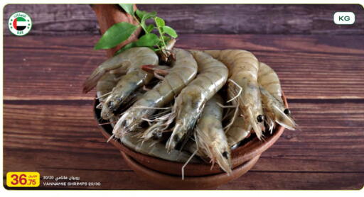 available at شركة الميرة للمواد الاستهلاكية in قطر - الدوحة