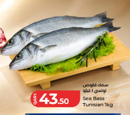 available at لولو هايبرماركت in قطر - الوكرة