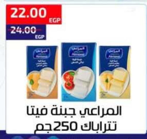 available at Al-Allaf Market in Egypt - Cairo