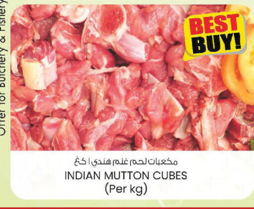 available at ك. الم. للتجارة in الإمارات العربية المتحدة , الامارات - أبو ظبي
