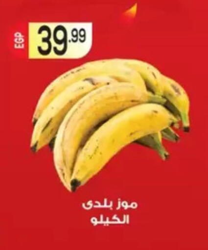 available at أولاد المحاوى in Egypt - القاهرة