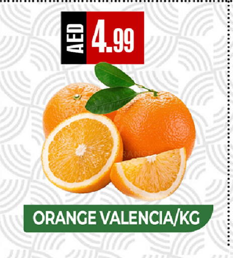 Orange available at  RIVIERA SUPERMARKET L.L.C in UAE - Abu Dhabi