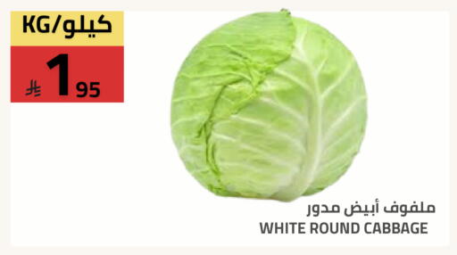 Cabbage available at أسواق أسترا in مملكة العربية السعودية, السعودية, سعودية - تبوك