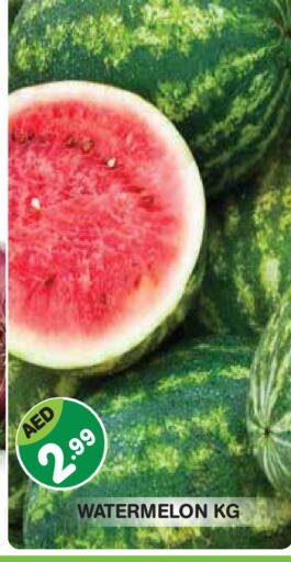 Watermelon available at Baniyas Spike  in UAE - Abu Dhabi