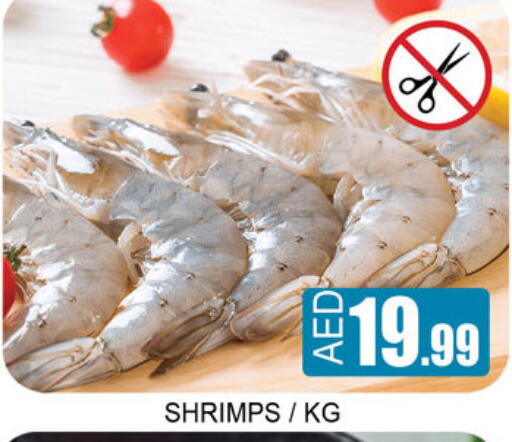 available at Lucky Center in UAE - Sharjah / Ajman