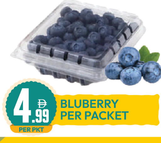 available at دريم لاند in الإمارات العربية المتحدة , الامارات - دبي