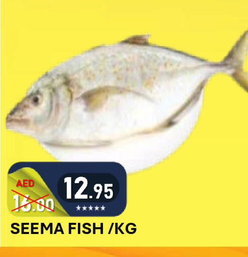 available at رويال جلف هايبرماركت in الإمارات العربية المتحدة , الامارات - أبو ظبي