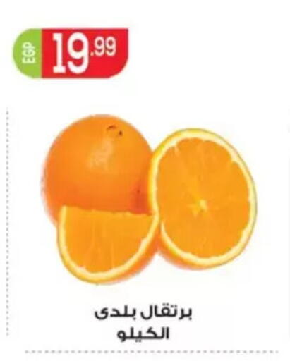 available at أولاد المحاوى in Egypt - القاهرة