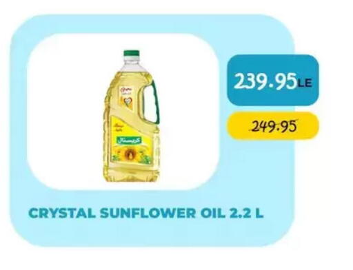 available at Point Market  in Egypt - Cairo
