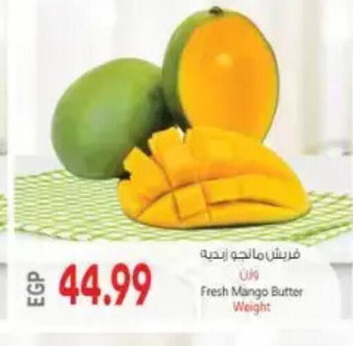 Mango available at New.Penny.market in Egypt - Cairo