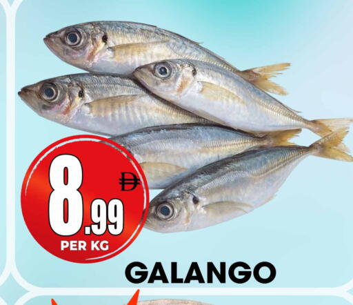 available at Centro Discount Center in UAE - Sharjah / Ajman