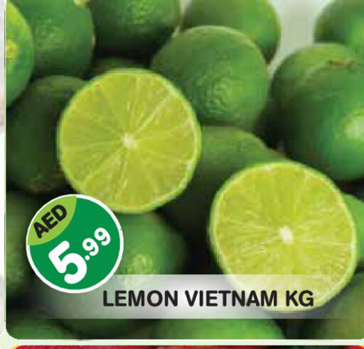 Lemon from Vietnam available at Baniyas Spike  in UAE - Abu Dhabi