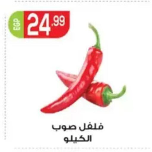 available at El mhallawy Sons in Egypt - Cairo
