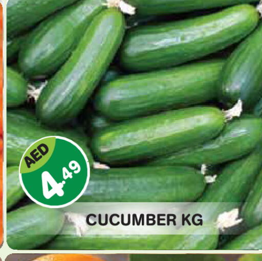 Cucumber available at Baniyas Spike  in UAE - Abu Dhabi