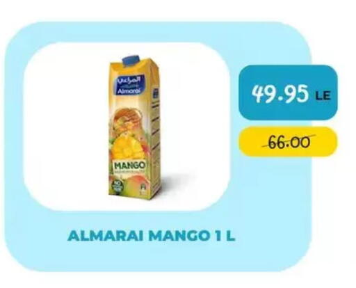 Mango in Egypt - القاهرة