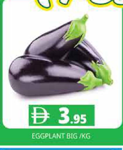 Eggplant available at Pasons Hypermarket in UAE - Dubai