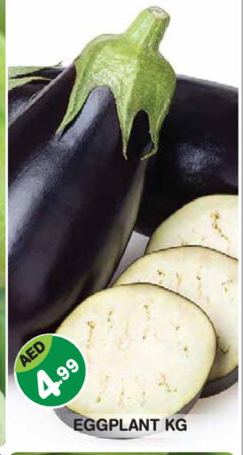 Eggplant available at Baniyas Spike  in UAE - Abu Dhabi