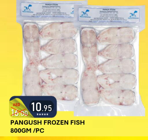 available at رويال جلف هايبرماركت in الإمارات العربية المتحدة , الامارات - أبو ظبي