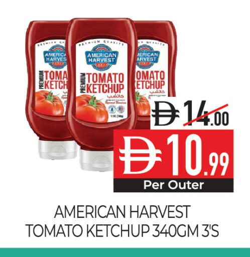 Tomato available at Delice Supermarket in UAE - Abu Dhabi