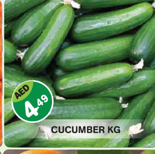 Cucumber available at Baniyas Spike  in UAE - Abu Dhabi